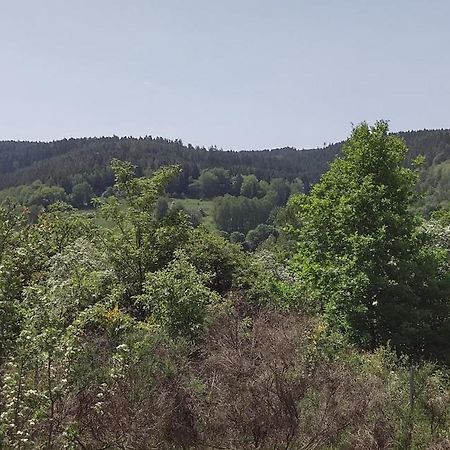 Sessles Waldhaeusschen Dietzhausen Suhl Kültér fotó