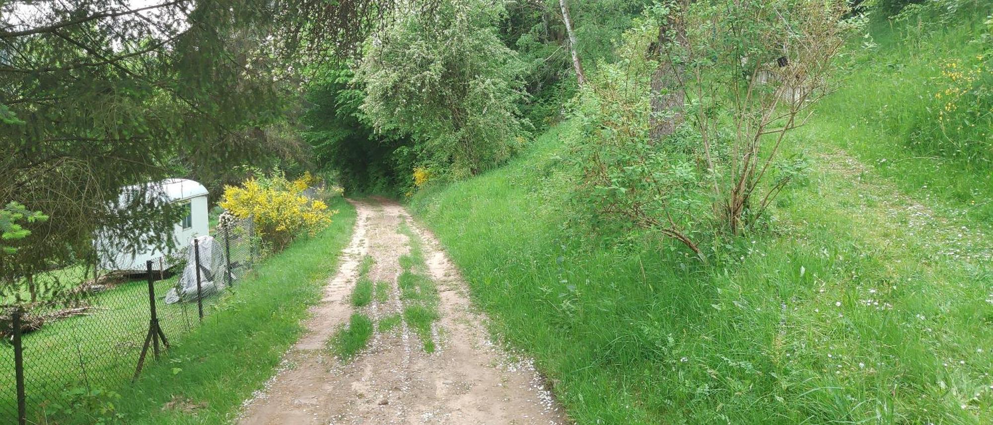 Sessles Waldhaeusschen Dietzhausen Suhl Kültér fotó